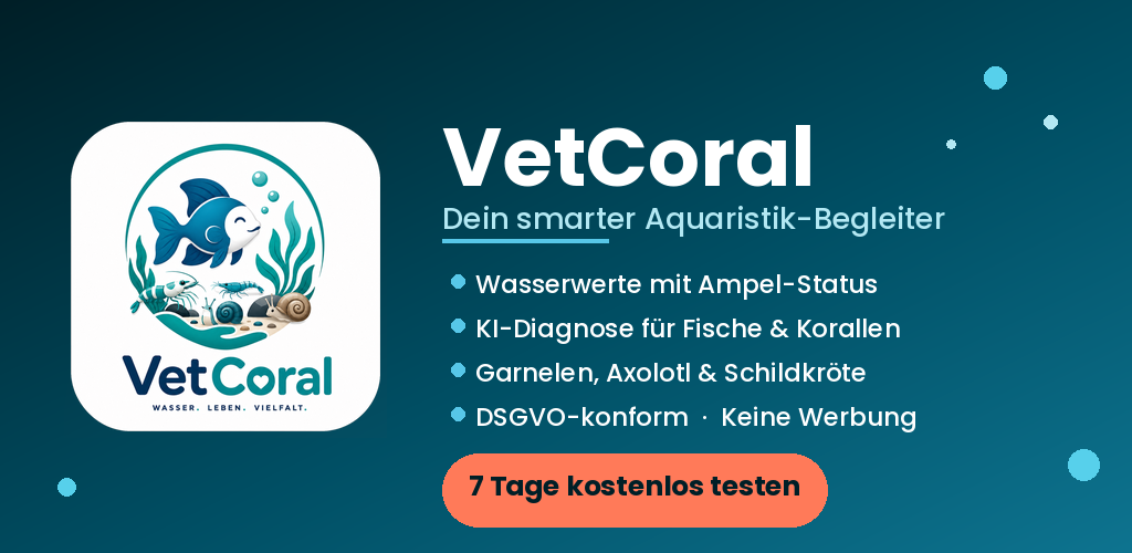 VetCoral