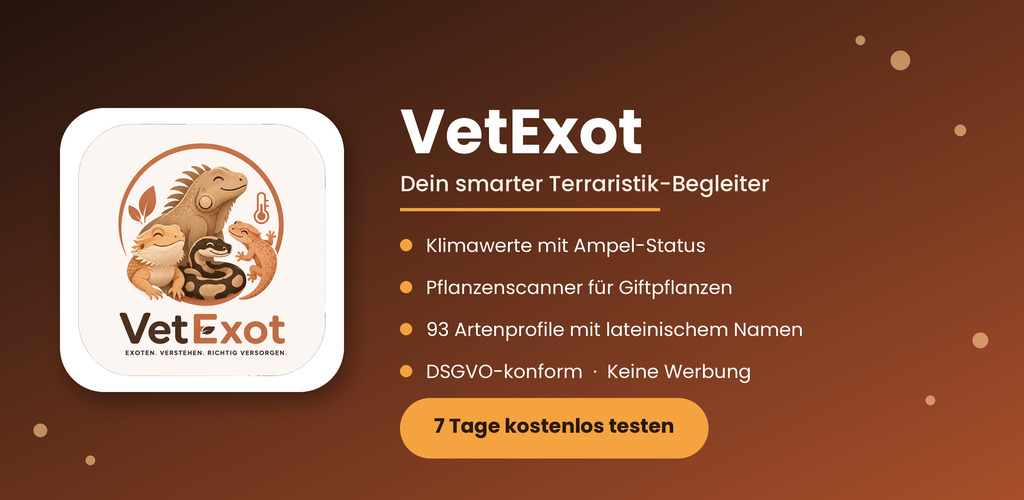 VetExot