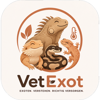 VetExot
